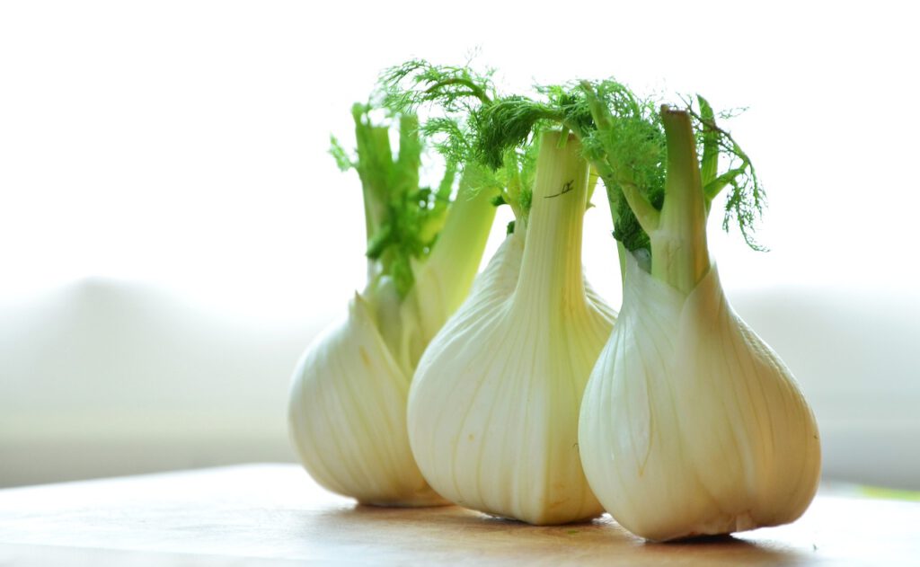 Bild vom Fenchel als Gemüse